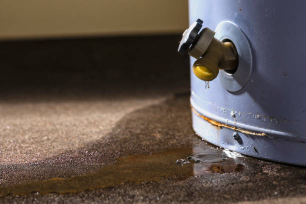 Best Sewage cleanup and water damage restoration  in Parkersburg, WV