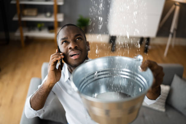 Best Water damage mitigation services  in Parkersburg, WV