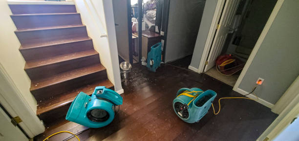 Best Water damage restoration near me  in Parkersburg, WV