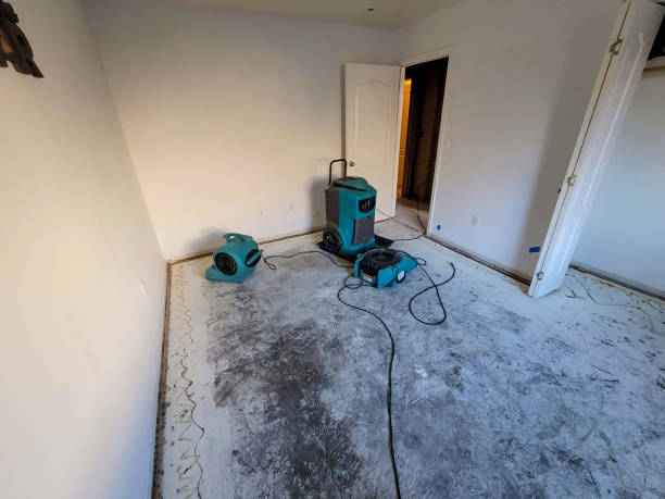 Best Residential water damage restoration  in Parkersburg, WV