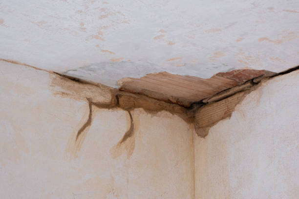 Best Commercial water damage restoration  in Parkersburg, WV