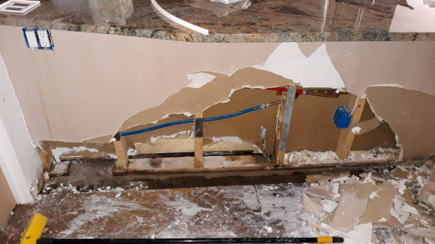 Best Local water damage restoration  in Parkersburg, WV