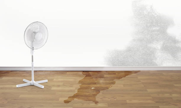 Best 24-hour water damage restoration  in Parkersburg, WV