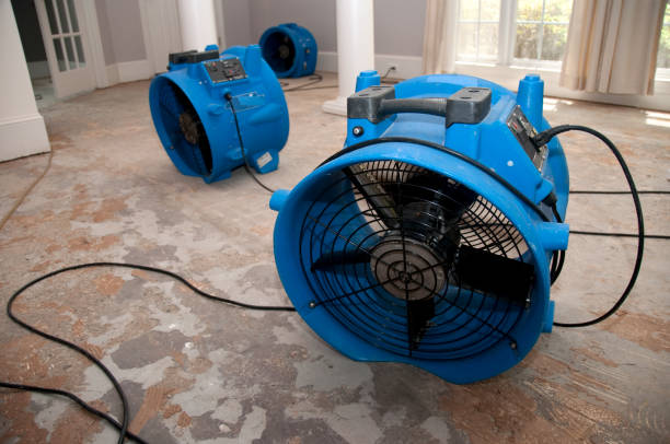 Best Flood damage cleanup  in Parkersburg, WV