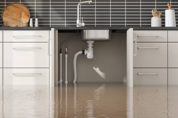 Best Carpet water damage restoration  in Parkersburg, WV